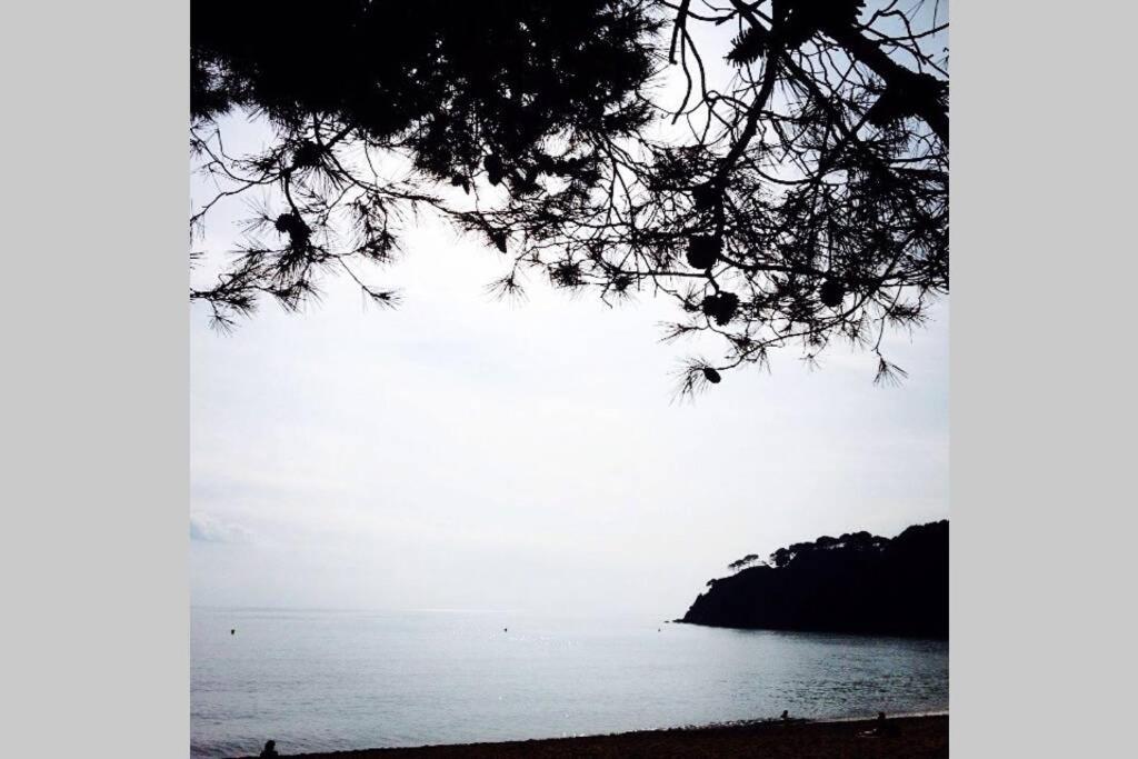 Casita Blanca Con Fibra Optica Y Piscina Cominutaria Villa Tossa de Mar Buitenkant foto
