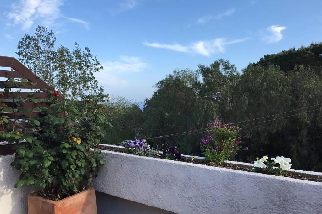 Casita Blanca Con Fibra Optica Y Piscina Cominutaria Villa Tossa de Mar Buitenkant foto